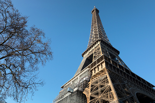 Eiffel Tower in Paris on a sunny winter day. Eiffel Tower with bare trees in the foreground and blue sky on background.