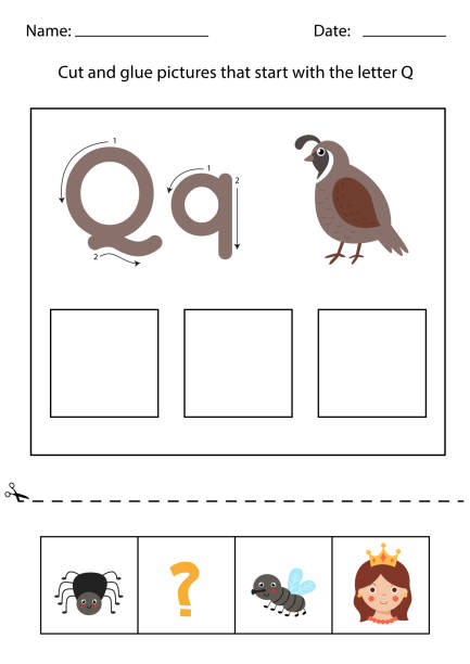 Letter Q With Animal Quail For Kids Abc Education In Illustrations,  Royalty-Free Vector Graphics & Clip Art - iStock