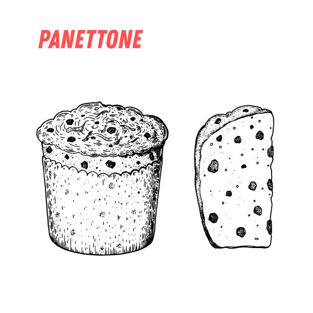 panettone skizze. italienische dessert-vektor-illustration. italienische süße handgezeichnete skizze. vintage-design-vorlage. - fruitcake stock-grafiken, -clipart, -cartoons und -symbole