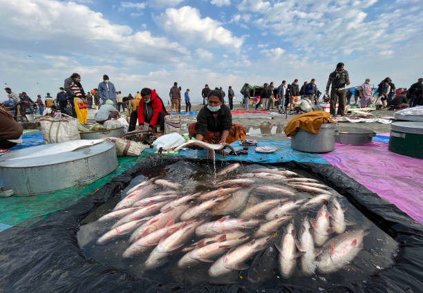Guwahati, India. 13 January 2022. Peoples gathering to buy fish amid COVID-19 pandemic, at a market on the occasion of Uruka during Magh Bihu festival  in Guwahati, Assam in India on January 13, 2022. Bhogali Bihu or Magh Bihu is celebrated during the month of January which marks the end of the harvest season.