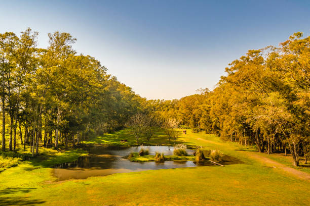 istock Del Palacio Grooto, Flores, Uruguay 1366097804