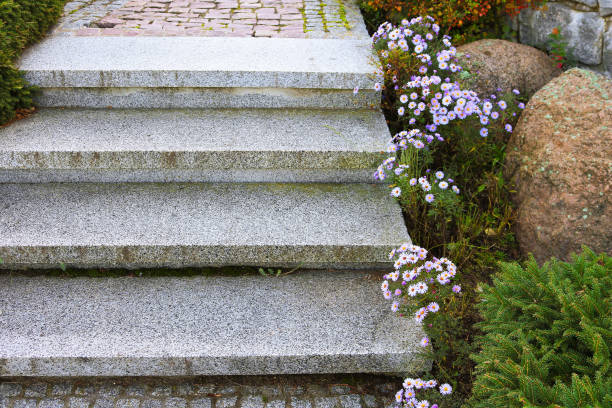 istock Concrete steps and aster flowers in the park 1366100394
