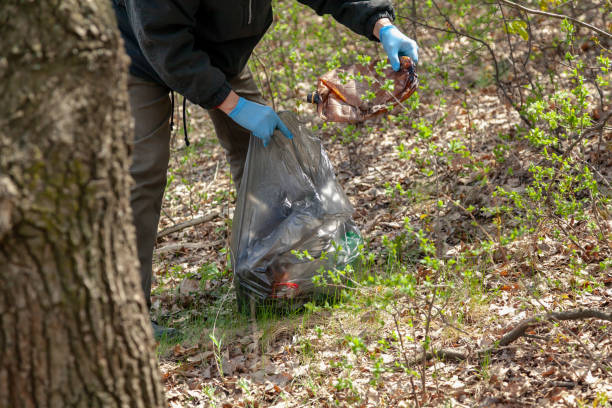 istock Man in gloves collects plastic trash in forest 1366104626