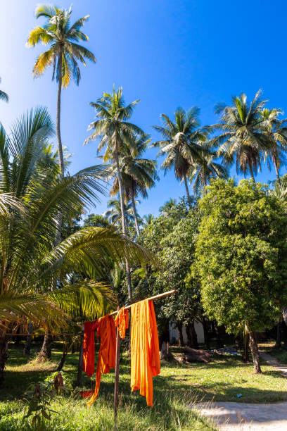 istock Monks linen at Luang Prabang 1366104793