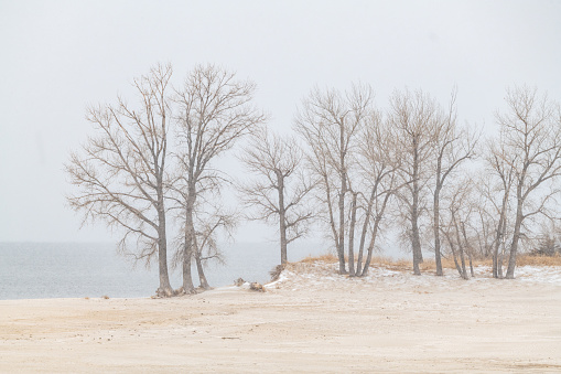 Sandy beaches at wnter at summer recreation area is dreary with snow and cold in southern Nebraska at Lake McConaughy at Ogallala in central United States of America (USA)