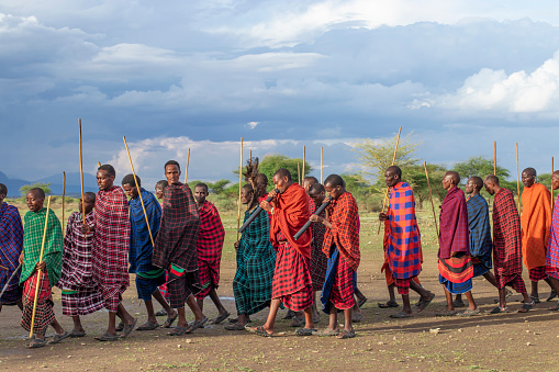 Men of Masai Tribe dancing and singing outdoors in traditional attire 16.12. 2021 Arusha, Tanzania