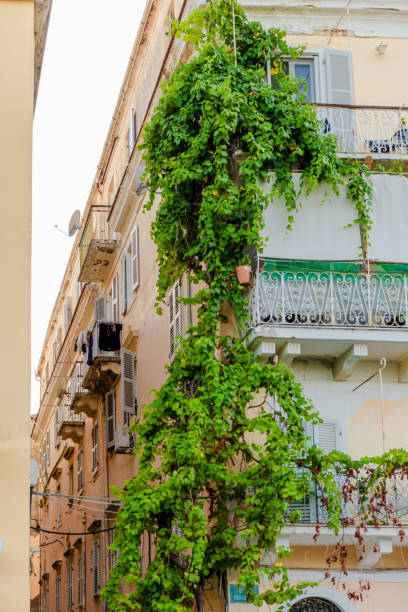 istock Old city center in Corfu, Greece 1366108666
