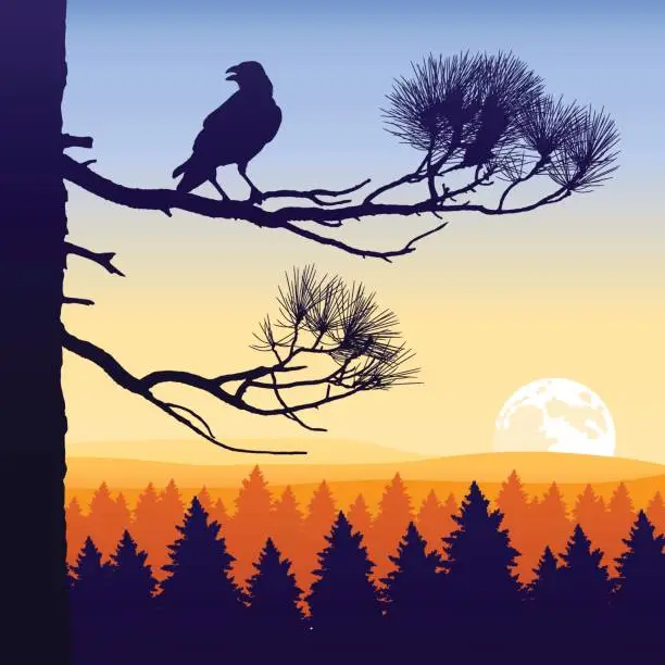 Vector illustration of Wilderness Twilight
