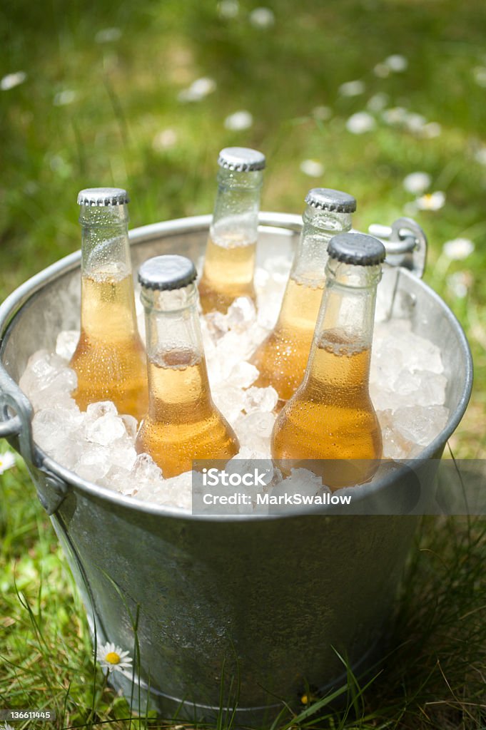 Cerveja em um balde - Royalty-free Balde de Gelo Foto de stock
