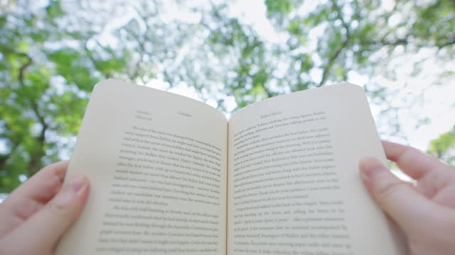 POV Reading a book in nature with tree branch and sky