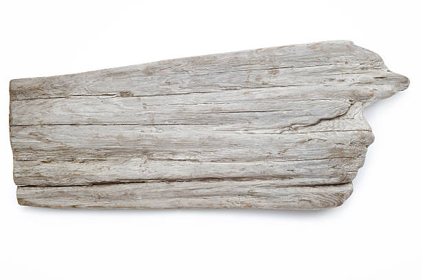 bois flotté - driftwood wood textured isolated photos et images de collection