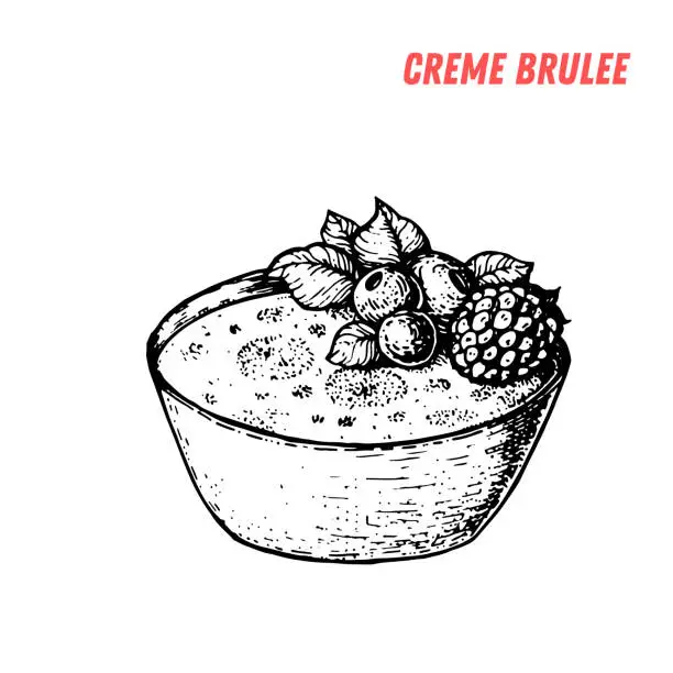 Vector illustration of French dessert creme brulee sketch. French pastries . Food menu design template. Hand drawn sketch vector illustration.