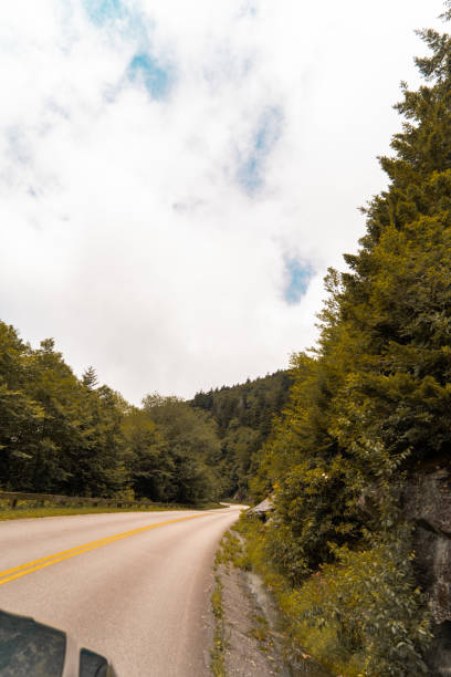 istock Curved Road Blue Ridge Parkway 1366125231