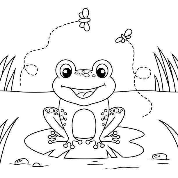 Frog sitting on leaf of water lily Black and white vector illustration for coloring book coloring book stock illustrations