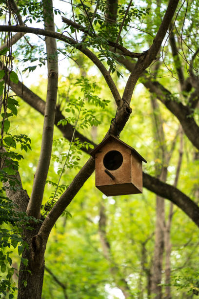 istock Bird's nest on the tree branch 1366127217