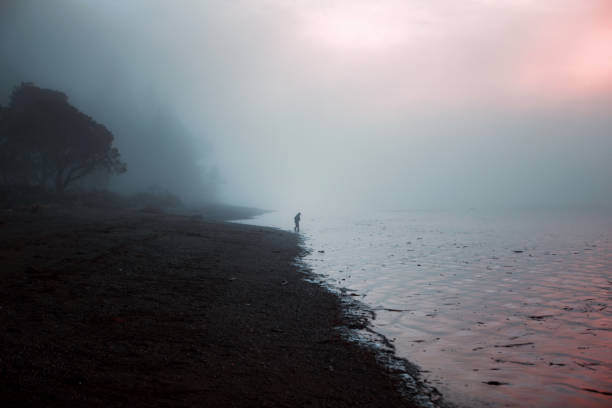 garçon errant au bord de l’eau dans un épais brouillard - washington state coastline beach waters edge photos et images de collection