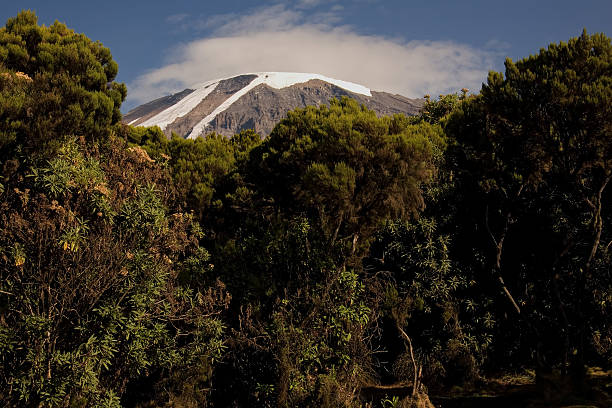 kilimanjaro kilimanjaro mweka huts camp. beatifull stock pictures, royalty-free photos & images