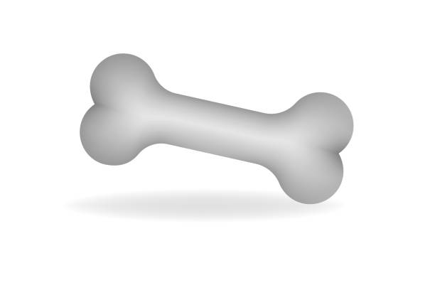 istock Dog Bone cartoon 3d design in gray. Vector illustration isolated on white background 1366134195