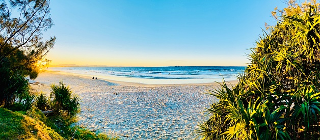 Horizontal panoramic view of the setting sun casting a golden glow on the blue sky, Pacific Ocean, sandy beach and tropical Pandanus palms growing on the foreshore at Wategos Beach, Byron Bay, north coast NSW in Summer.