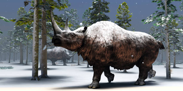 istock Winter Woolly Rhino 1366135328