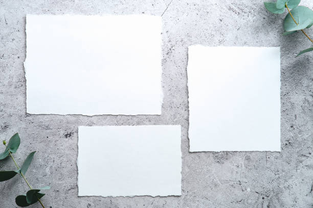 istock Wedding stationery set. Blank wedding invitations on concrete table with eucalyptus branches. 1366137762