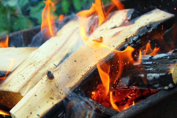 istock Firewood burning in the brazier. Close-up. Background. 1366138027