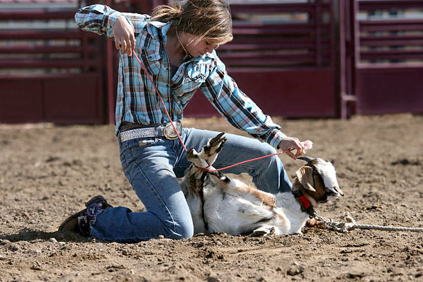 Hermosa Chica de cabra anudar Rodeo de la competencia deportiva - foto de stock