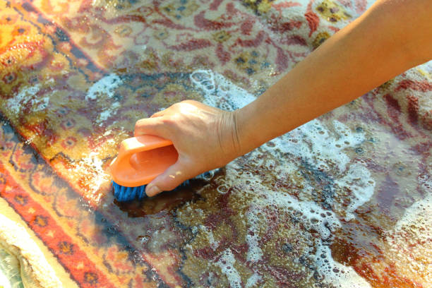 Hand wash the carpet. Carpet washing manually. Close-up. stock photo
