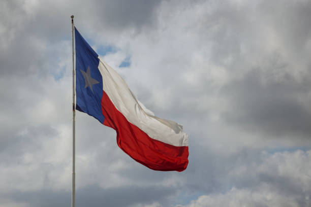 istock Texas State flag on the pole waving in the wing 1366139423