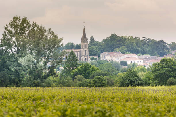 istock Small town in the Bordeaux winery region 1366140089