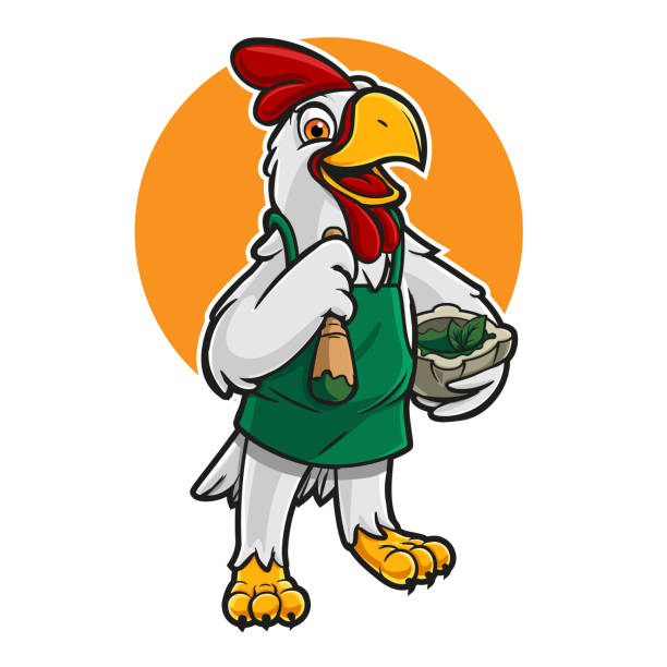 cartoon mascot chicken for company logo cartoon mascot chicken thumbs up design stock illustrations