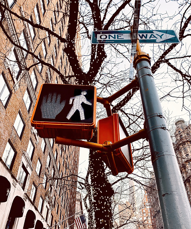 Pedestrian Walk signal and One Way directional sign on a Manhattan, New York City street corner in winter, festive holiday lights strung on tree with bare branches, low angle view looking upward.