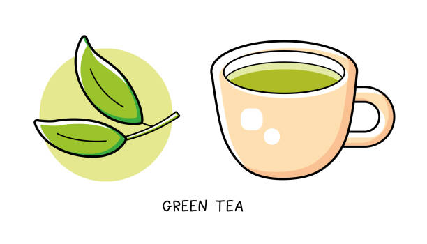 ilustrações, clipart, desenhos animados e ícones de xícara de chá verde e ramo de chá com duas folhas - tea cup tea green tea chinese tea