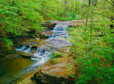Lush spring greenery surrounds a cascading waterfall in Hocking Hills State Park in Logan, Ohio. The waterfall has many steps to it with rushing water spilling over the rocky cliffs. The trees and shrubs are vibrant in green spring color.