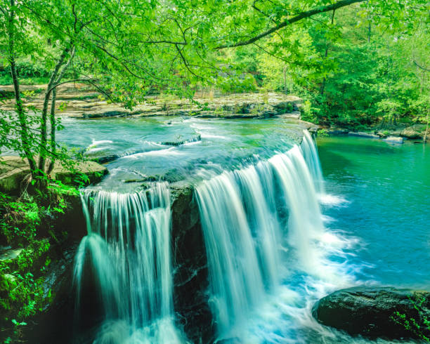 little river canyon national preserve, alabama - majestic awe canyon national park stock-fotos und bilder