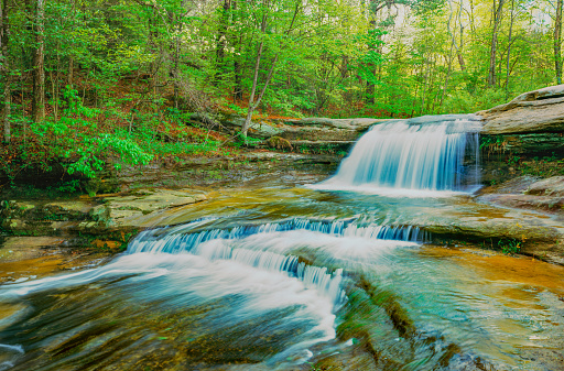 Lush spring greenery surrounds a cascading waterfall in Hocking Hills State Park in Logan, Ohio.