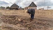 A cat following his owner, a mature active, positive Caucasian White woman, when she is working in the vegetable garden in early spring.