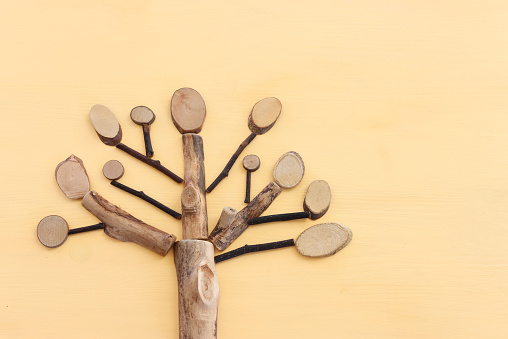 Imagen del árbol genealógico en crecimiento de madera sobre fondo pastel photo