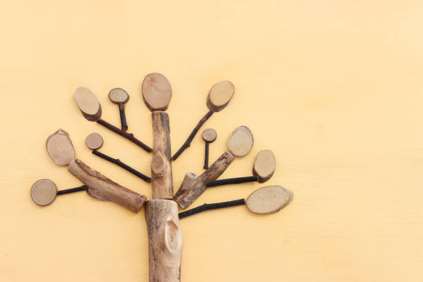 Image of wooden growing family tree on pastel background Image of wooden growing family tree on pastel background genealogy stock pictures, royalty-free photos & images