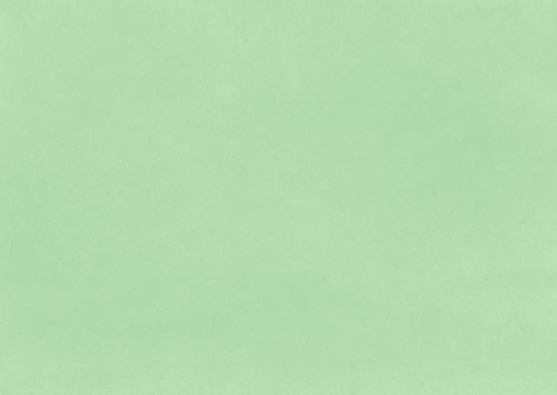 Pastel color green paper texture for background