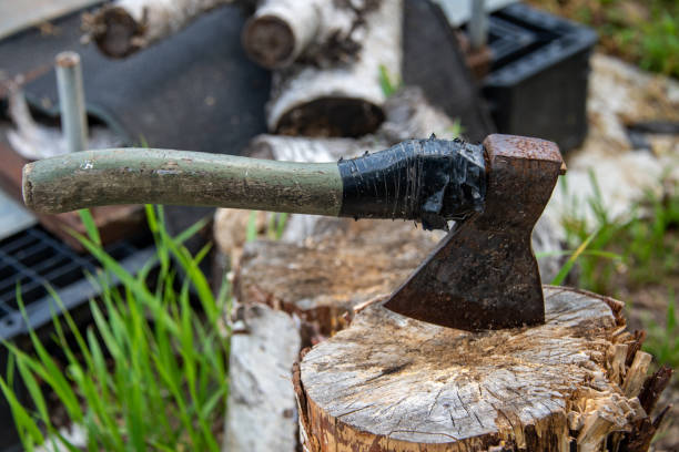 istock An old rusty ax with a wooden handle is rewound with a black ribbon, stuck in a birch stump against a background of green grass and birch firewood. Chopping. 1366167607