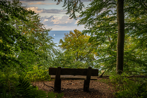 A bench in the forest near Schwirenz, Mecklenburg-Western Pomerania, Germany