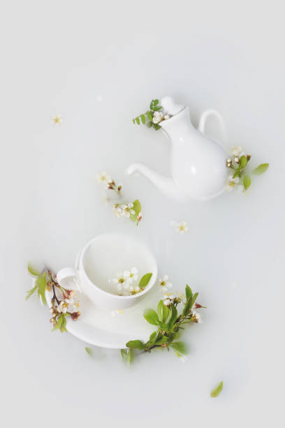 White teapot and tea cups with cherry flowers and leaves in a milk bath. Advertising idea. Fantasy background Creative abstract spring nature.