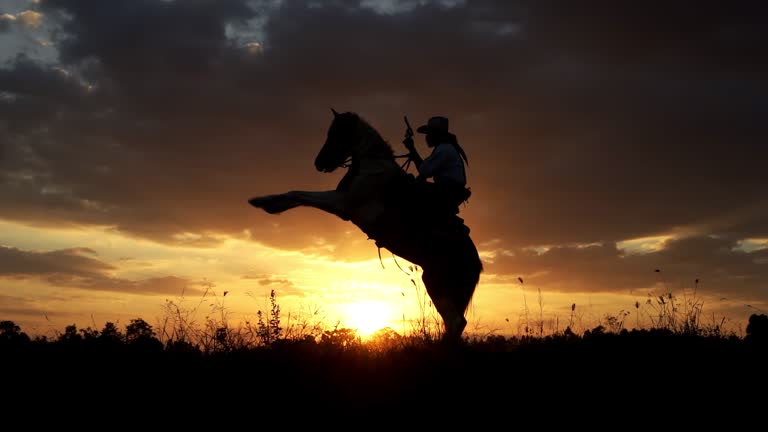 Cowboy Riding Horse And Holding A Gun At Sunset