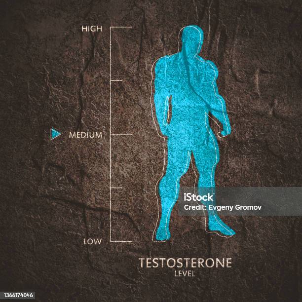 Hand Shape Testosterone Hormone Testosterone Level Measuring Scale With Muscular Man Silhouette ...