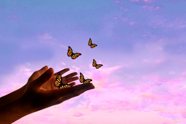 motyle latające z otwartej dłoni, koncepcja wolności, motyle uwolnione z ręki, koncepcja nadziei. - releasing zdjęcia i obrazy z banku zdjęć