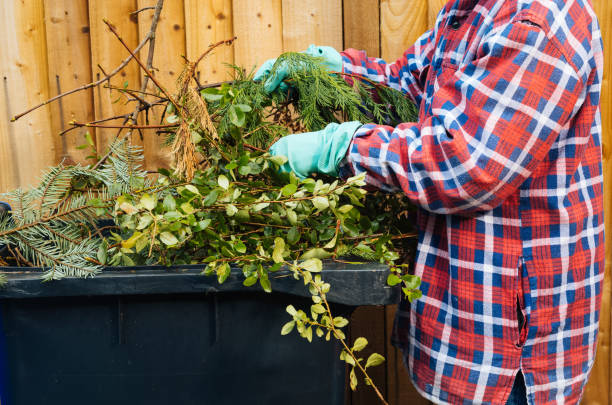 umieszczanie odpadów ogrodowych w koszach - garden waste zdjęcia i obrazy z banku zdjęć