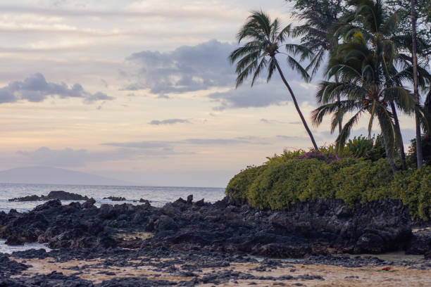 istock Beach landscape taken from Hawai, Maui, West Coast 1366196251