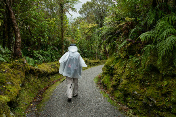 un touriste marchant sous la pluie à douglas walk, glacier franz josef, île du sud. - franz josef glacier photos et images de collection