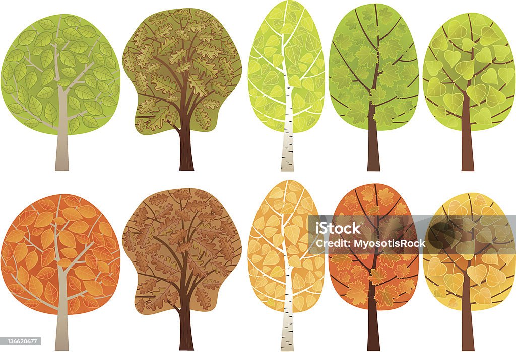 Zestaw drzew liściastych - Grafika wektorowa royalty-free (Buk - drzewo)